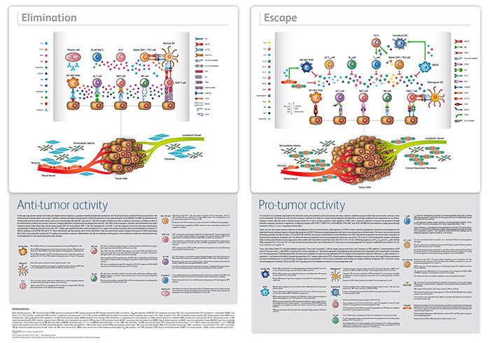 Immuno-oncology poster.jpg